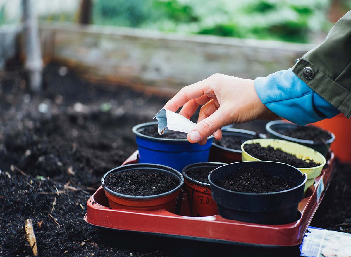 Sustainability at home: A beginner's guide to composting
